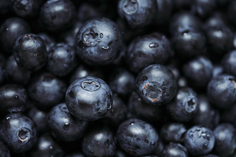 Superfood Essentials