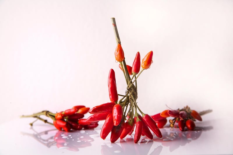 Mexican Cuisine
